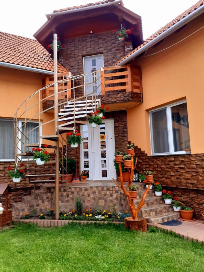 Casa De Oaspeti Cristian Praid Δωμάτιο φωτογραφία